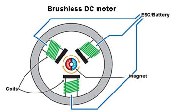 Brushless DC motor for actuators